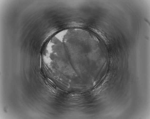 X0000097781219200803281654