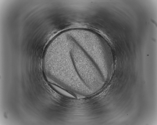 X0000097781220200803281654