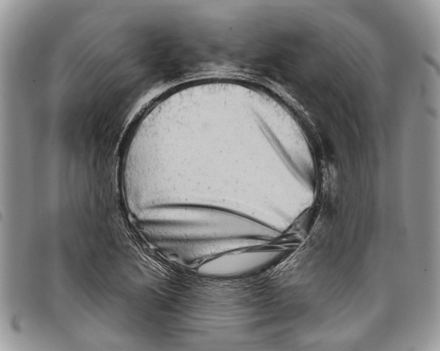 X0000097781222200803281654