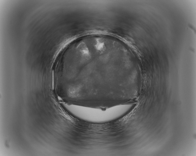 X0000097781223200803281654