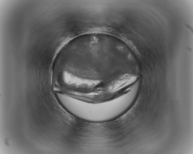 X0000097781224200803281654