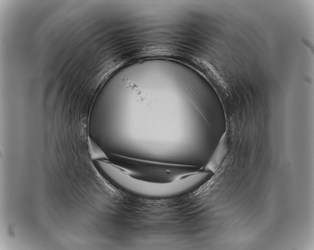 X0000097781225200803281654