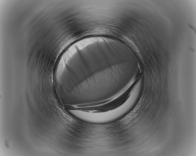 X0000097781226200803281654