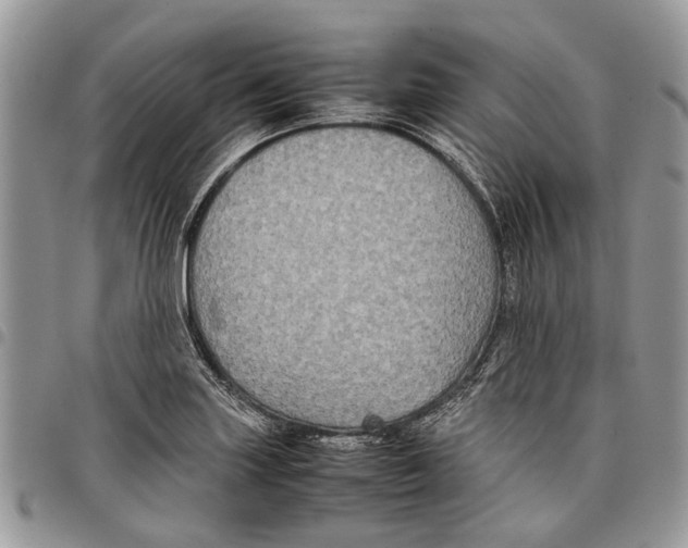 X0000097781227200803281654