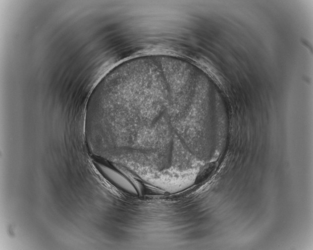 X0000097781228200803281654