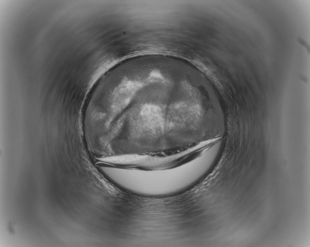 X0000097781230200803281654