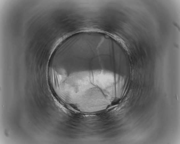 X0000097781231200803281654