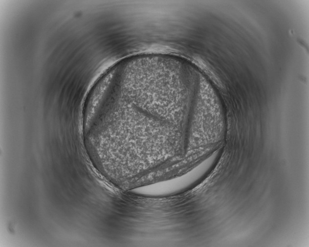 X0000097781232200803281654