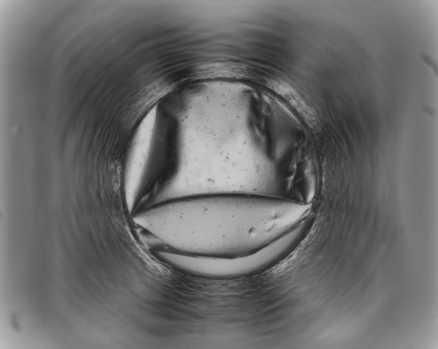 X0000097781233200803281654