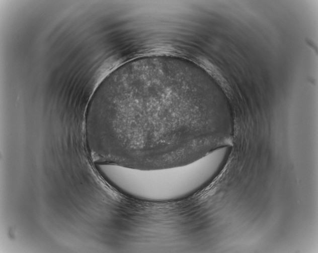 X0000097781234200803281654