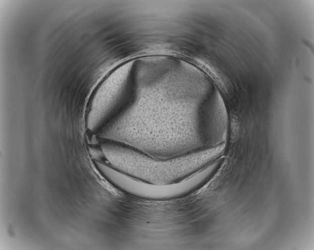 X0000097781236200803281654