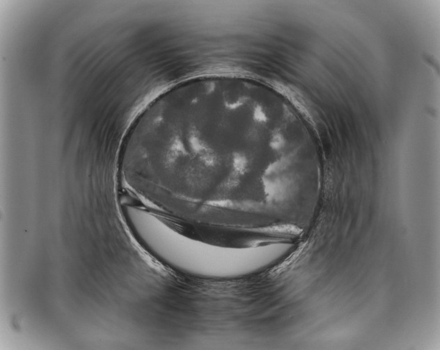 X0000097781237200803281654