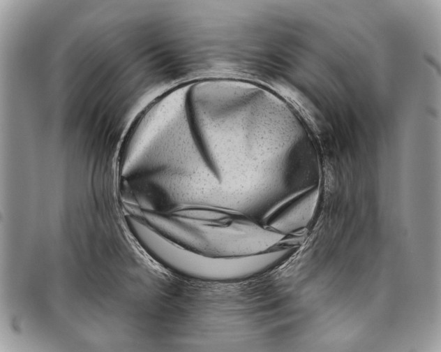 X0000097781238200803281654