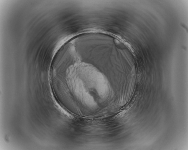 X0000097781239200803281654