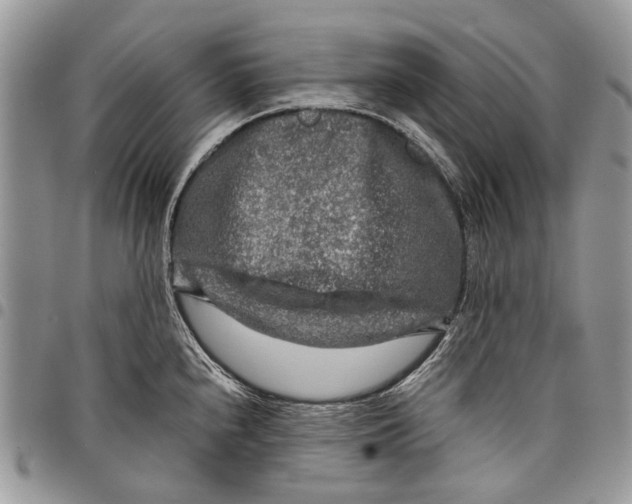 X0000097781240200803281654