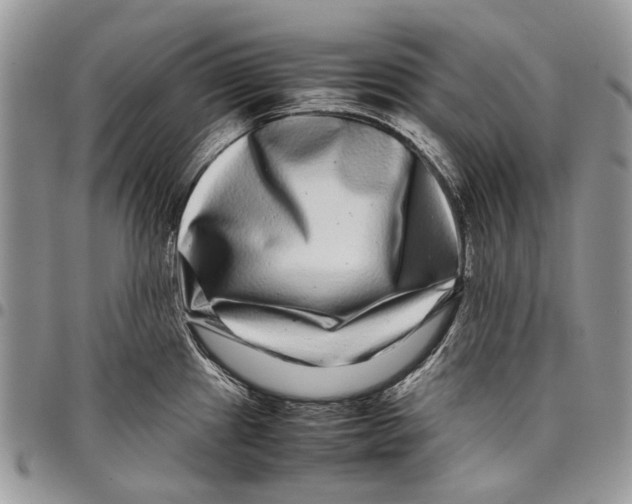 X0000097781241200803281654