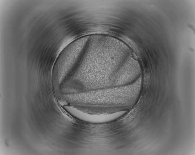 X0000097781242200803281655