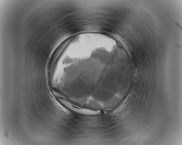 X0000097781243200803281655