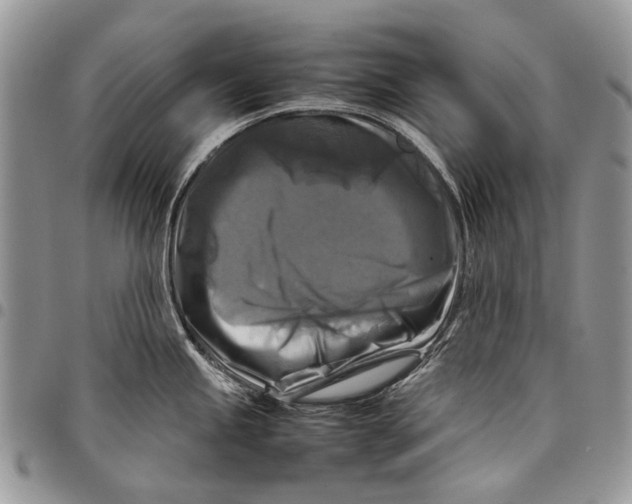 X0000097781245200803281655