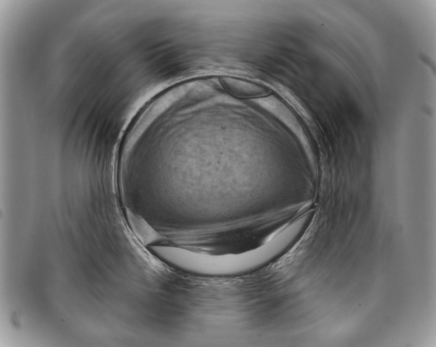 X0000097781246200803281655