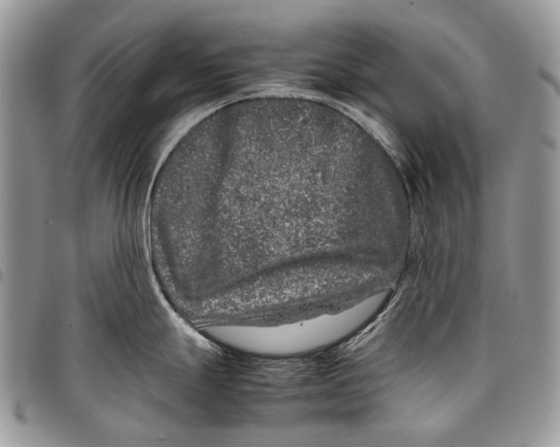 X0000097781247200803281655