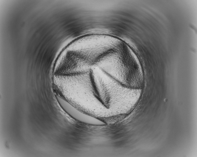 X0000097781248200803281655