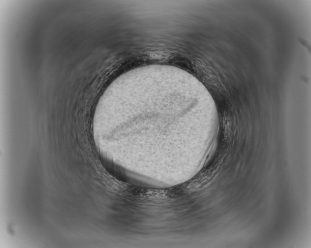 X0000097781249200803281654