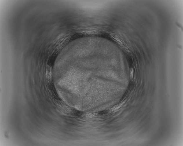 X0000097781251200803281654