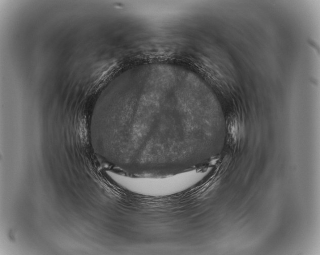 X0000097781252200803281654