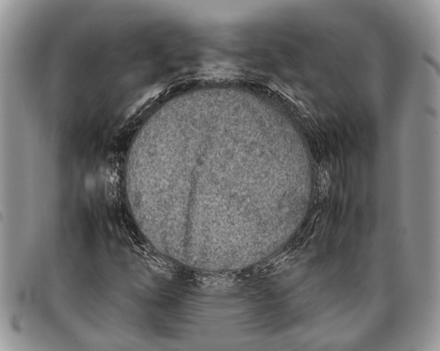 X0000097781254200803281654