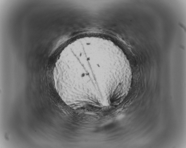 X0000097781255200803281654