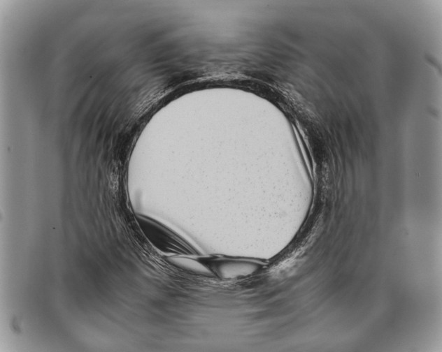 X0000097781257200803281654