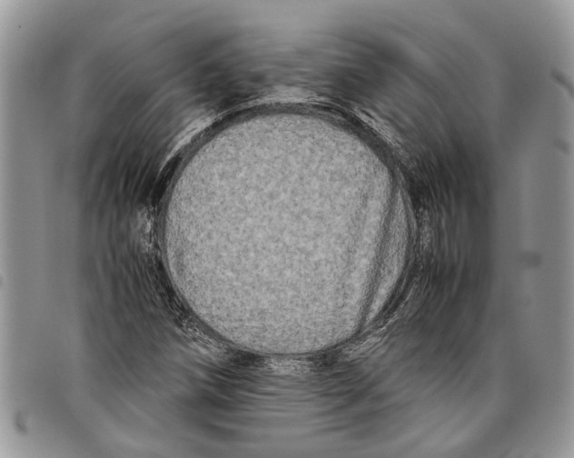 X0000097781258200803281654