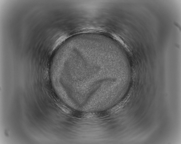 X0000097781259200803281654