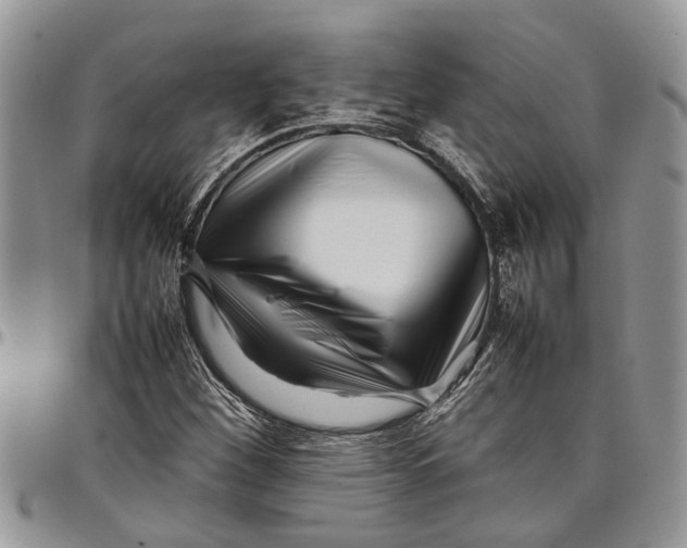 X0000097781260200803281654