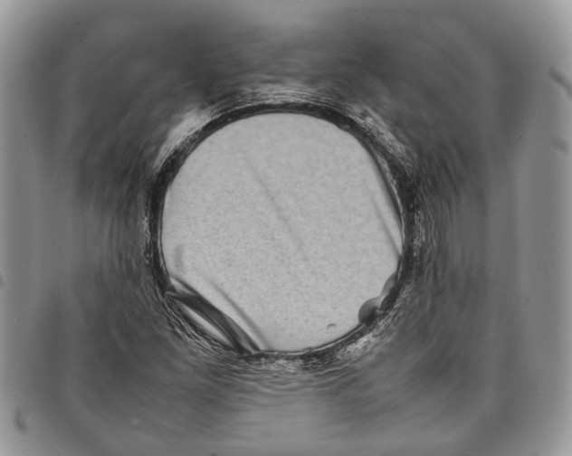 X0000097781261200803281654