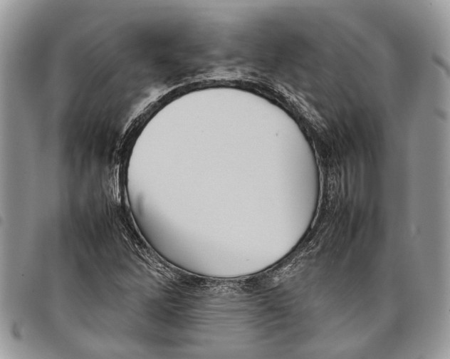 X0000097781262200803281654