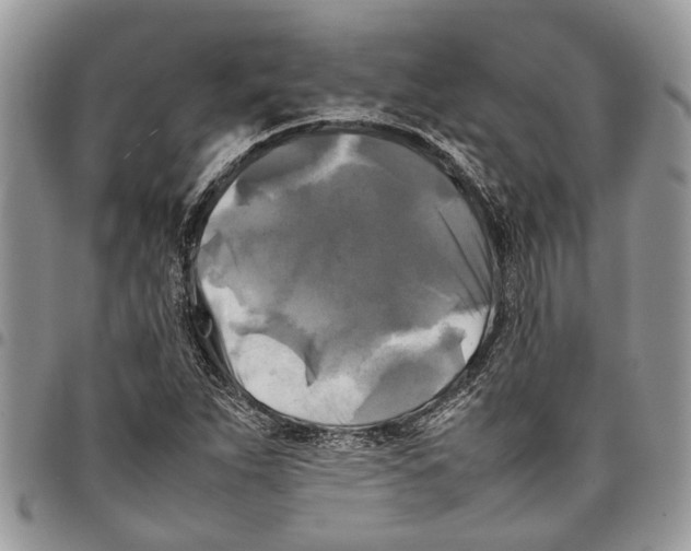 X0000097781263200803281654