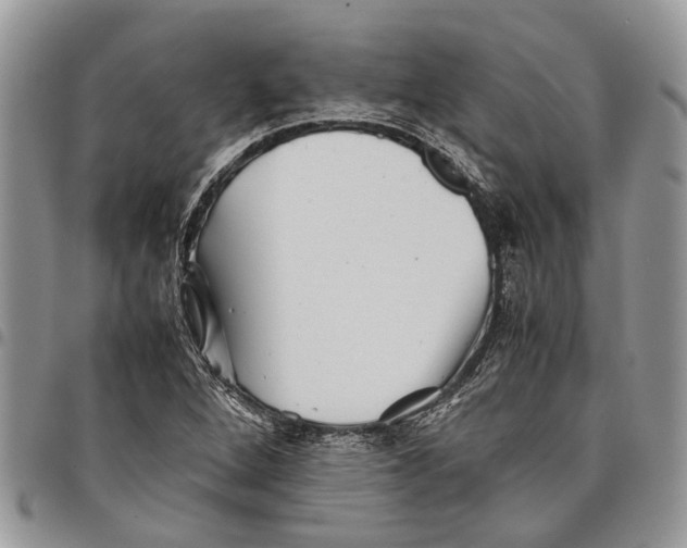 X0000097781264200803281654