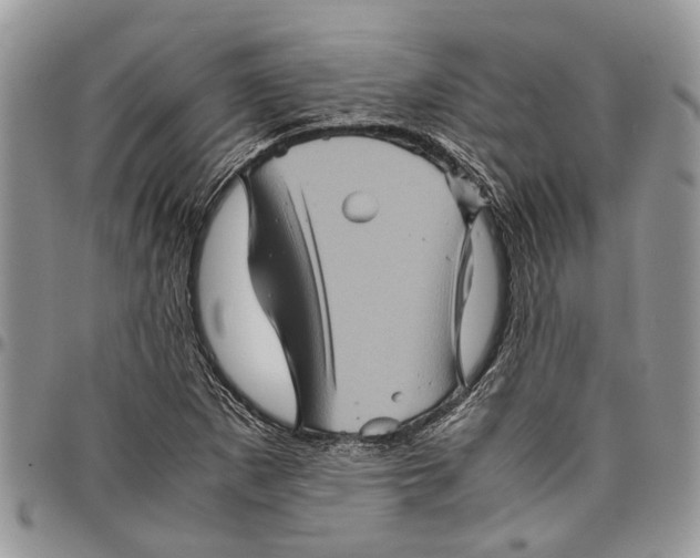 X0000097781265200803281654