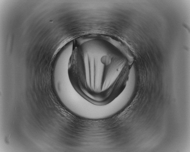 X0000097781266200803281653