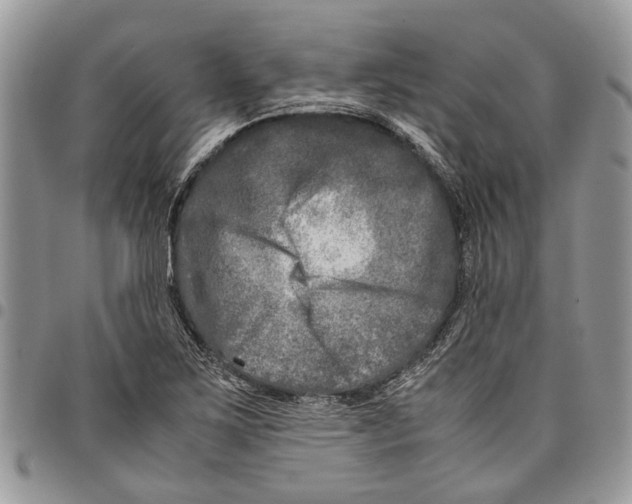 X0000097781267200803281653