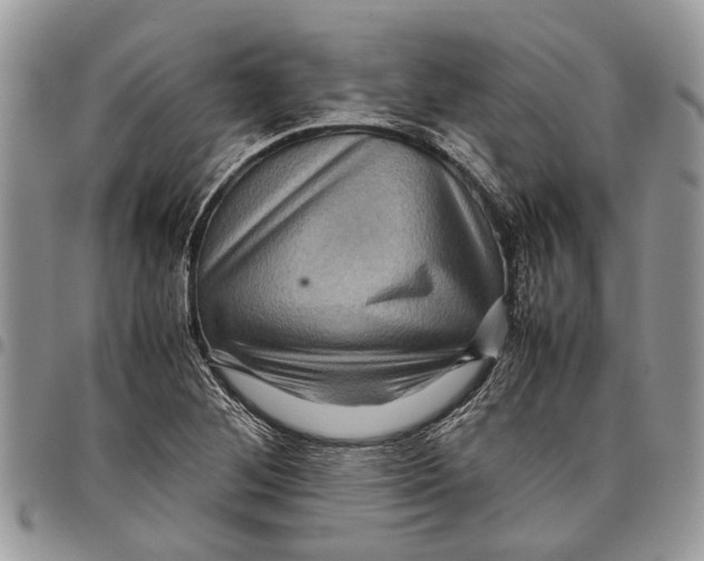 X0000097781268200803281653