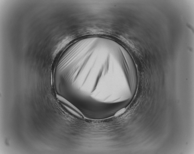 X0000097781269200803281653