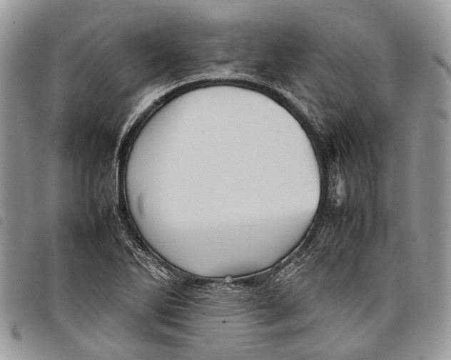 X0000097781270200803281653