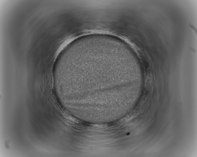 X0000097781271200803281653