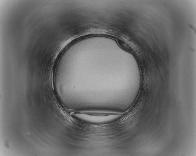 X0000097781272200803281653