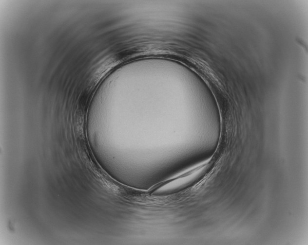 X0000097781273200803281653