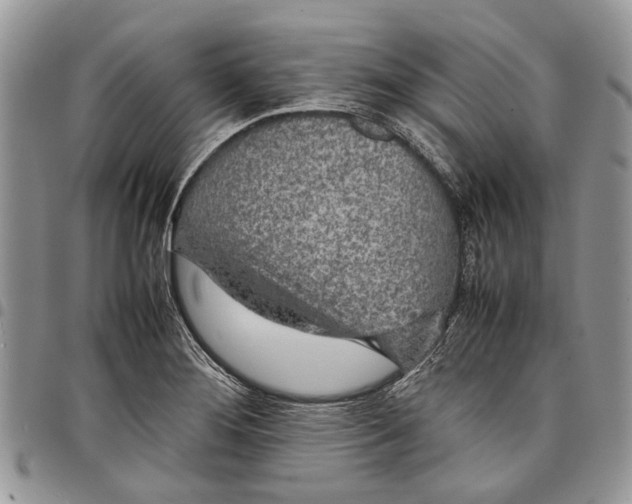 X0000097781276200803281653