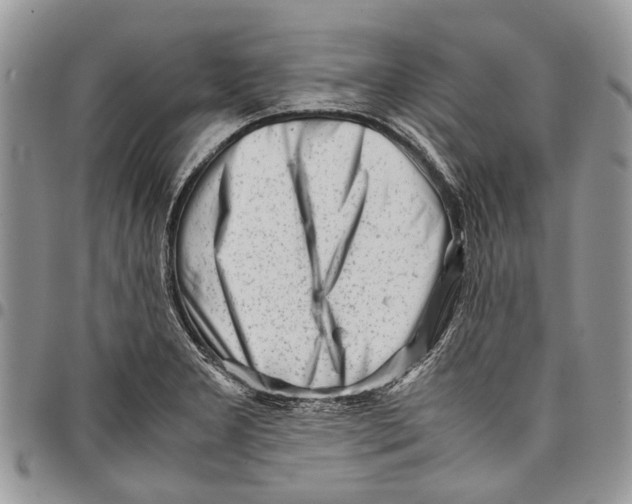 X0000097781277200803281653